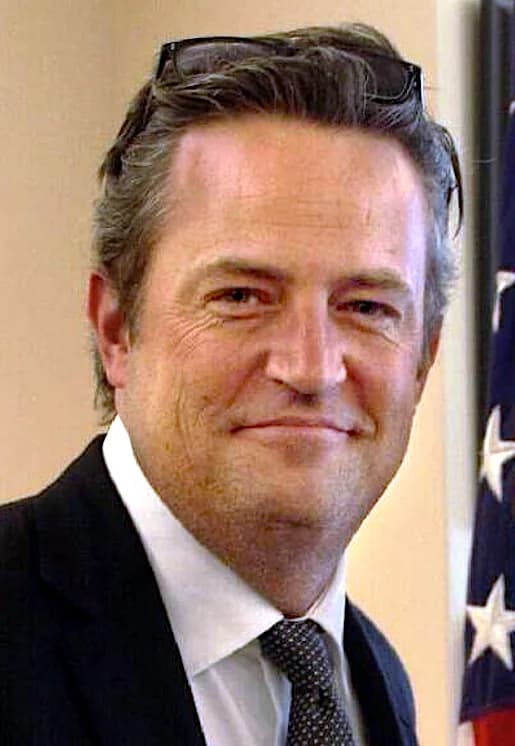 Matthew Perry - English: Perry's photograph to increase awareness of drug courts.