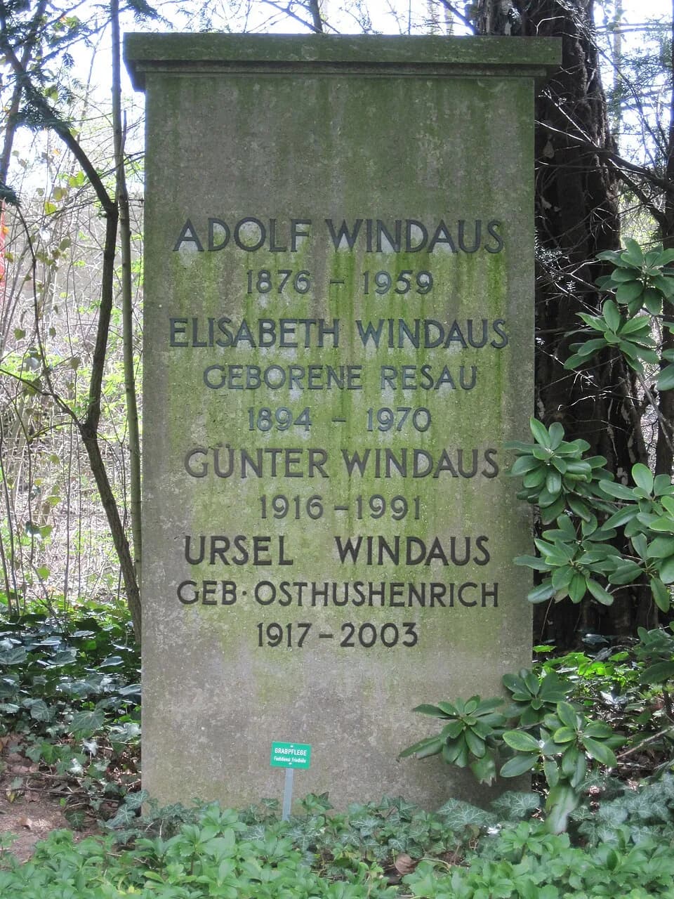 Adolf Windaus - Das Grab Adolf Windaus' auf dem Stadtfriedhof in Göttingen