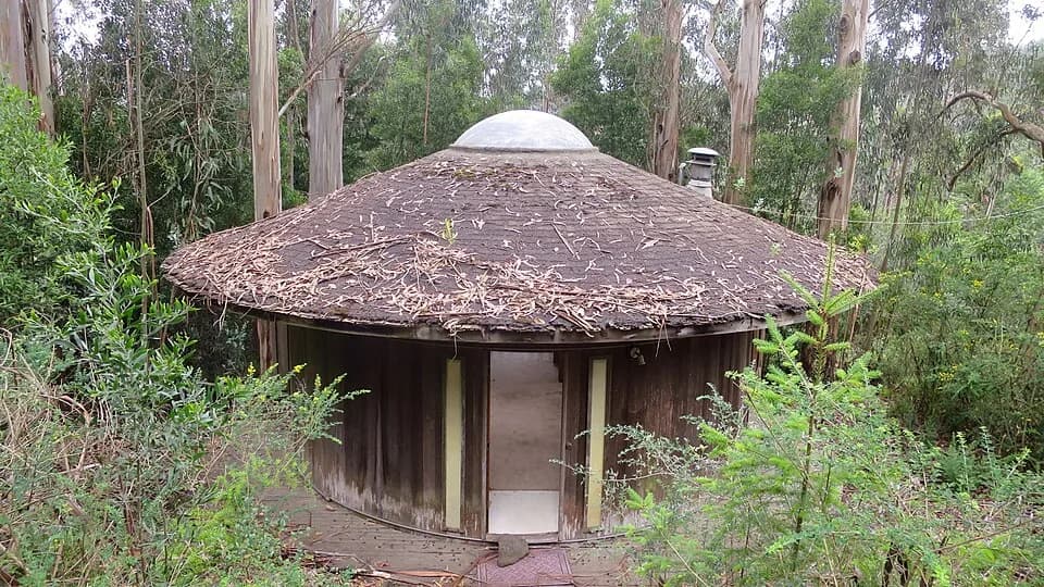 Alan Watts - I once lived in paradise: Druid Heights was my home for two years, circa 1977. Our small bohemian community was hidden away in the middle of Muir Woods. For generations, Alan Watts and ot