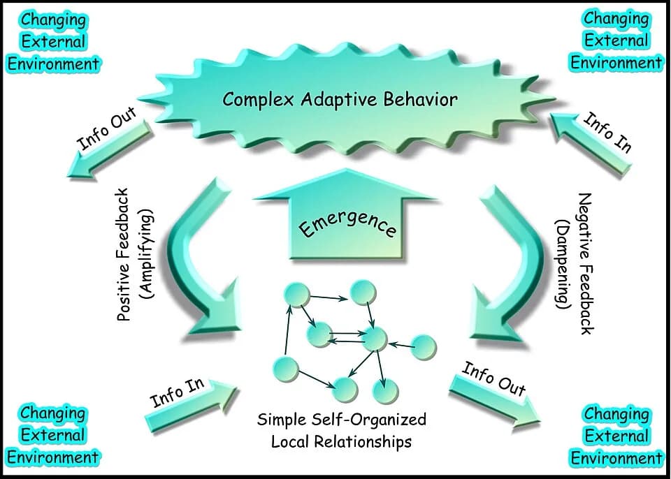 Talcott Parsons - Complex adaptive system : A way of modelling a Complex Adaptive System. A system with high adaptive capacity exerts complex adaptive behavior in a changing environment.