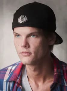 Avicii Avicii