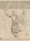 Johann Bayer