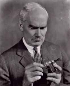 Lee de Forest
