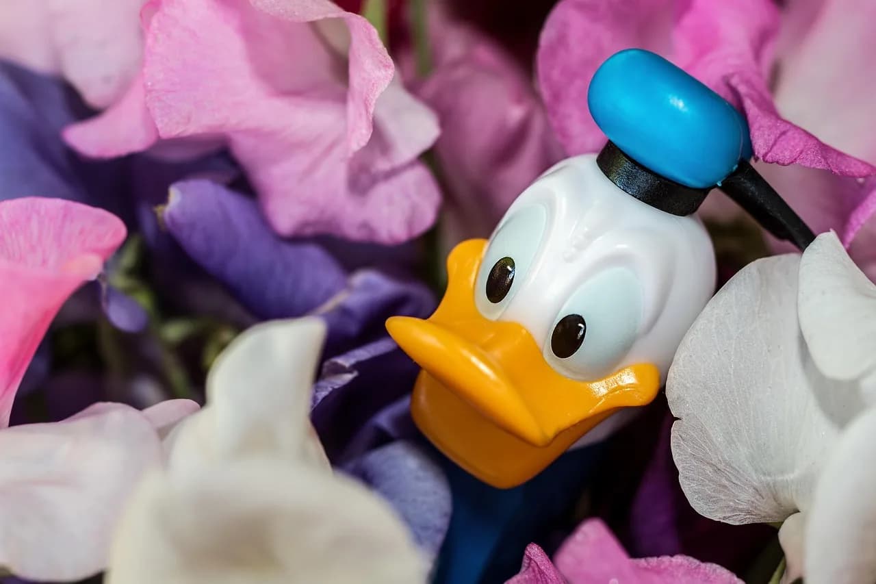 Donald Arthur Glaser — donald duck, disney character, nature, sweet-pea, beautiful flowers, flowers, cartoon character, pez dispenser, smile, cheerful, flower background, flower wallpaper, comic