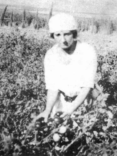 Golda Meir - Golda Meir working in kibbutz Merhavia