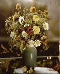 Gabriel Lippmann - Nature morte, 1891-1899