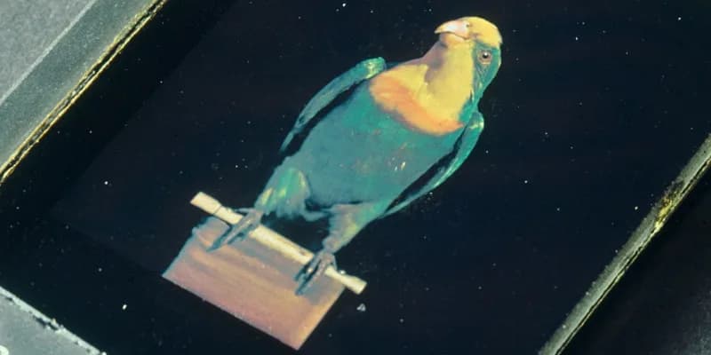 Gabriel Lippmann - A circa 1899 colour photograph by Dr. Richard Neuhauss, made using the Gabriel Lippmann interference method of direct colour photography. Neuhauss was one of the foremost experiment