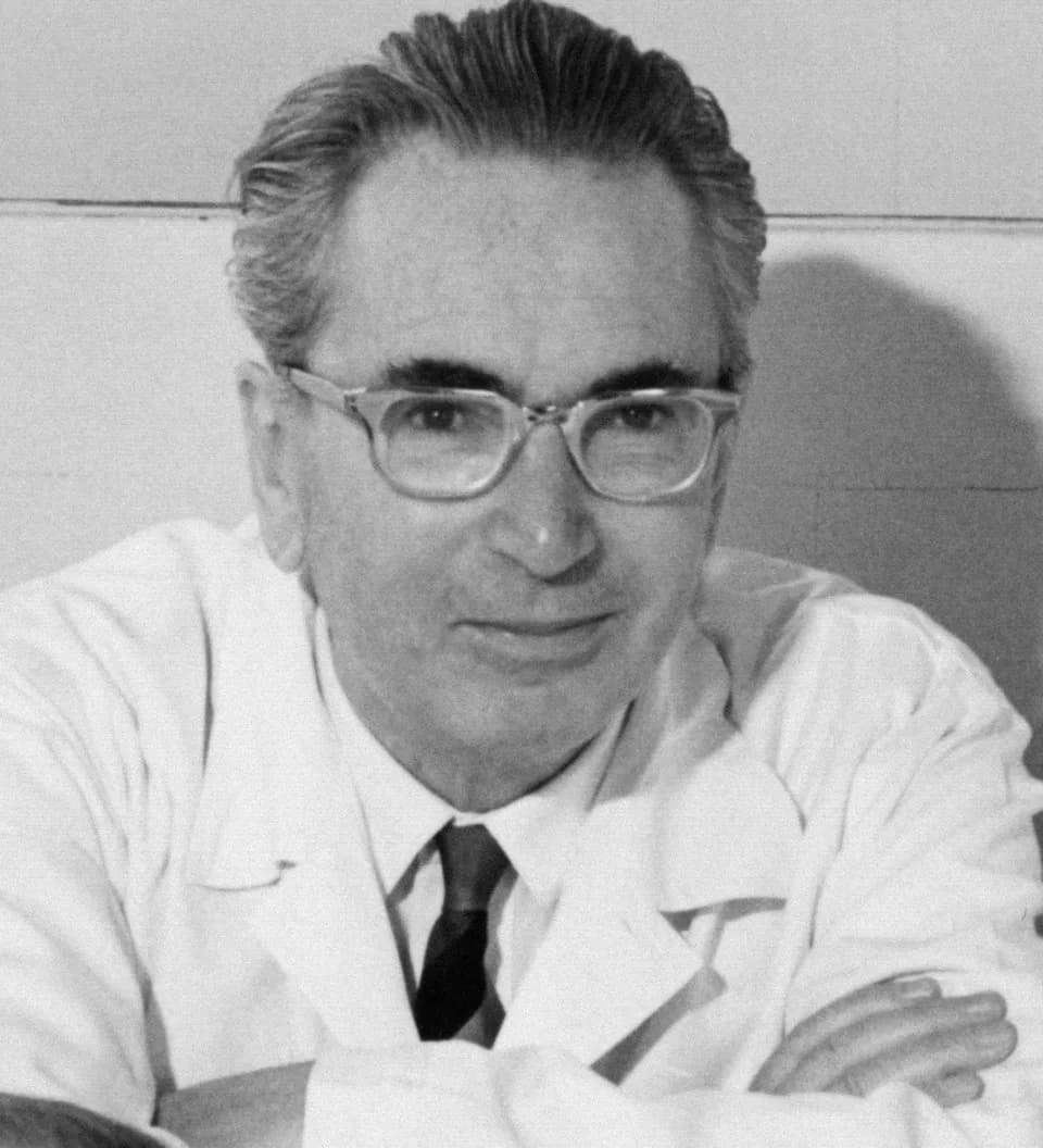 Viktor Frankl - Viktor Frankl
