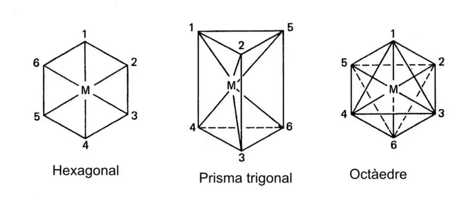 Alfred Werner - Possible geometrical structures of hexaccordinated compounds