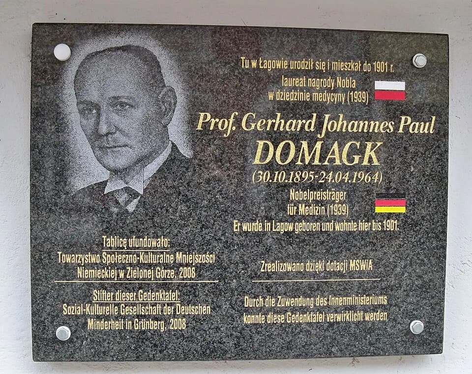 Gerhard Domagk - Tablica na budynku informacji turystycznej w Łagowie Lubuskim poświęcona G. Domagkowi