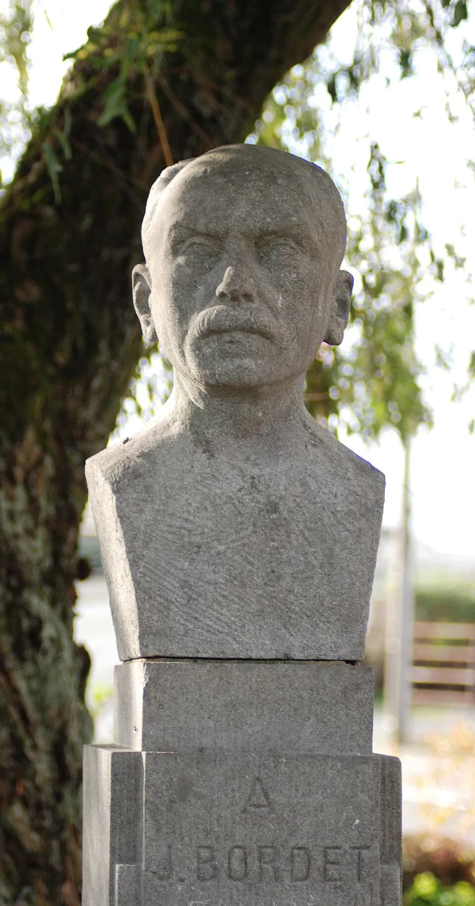 Jules Bordet - Buste de Jules Bordet - Soignies - Square Bordet