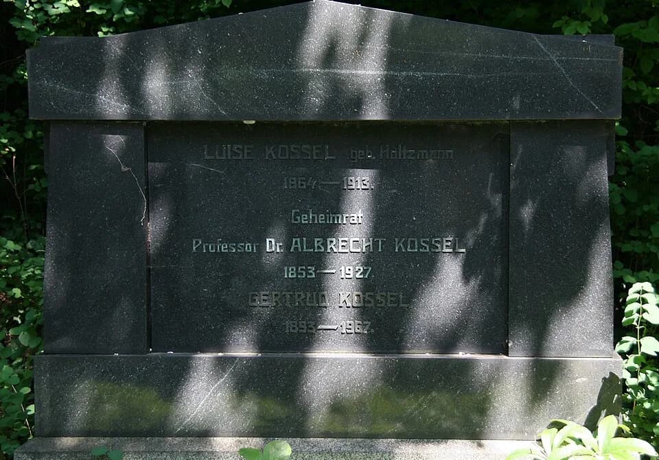 Albrecht Kossel - Kossels Grab
