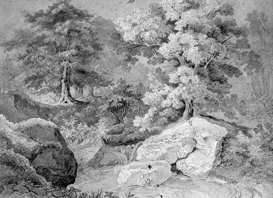 Gottfried Keller - Waldlandschaft (Woodland), black crayon and brush on paper, 58 x 78,5 cm, unsigned.
