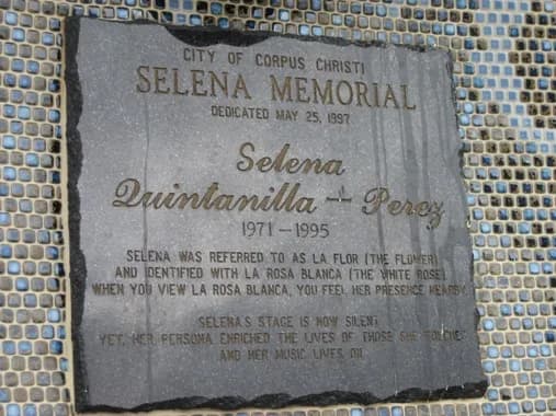 Selena Selena - Mirador de la flor