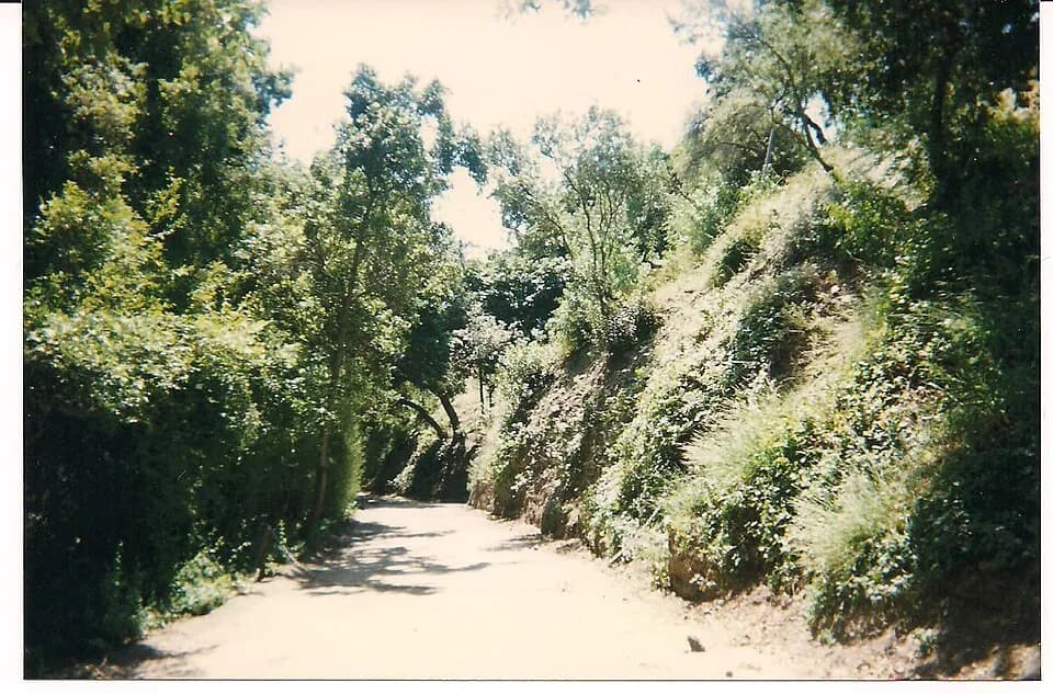 Sharon Tate - A section of Cielo Drive in Benedict Canyon, near Beverly Hills, Los Angeles, California
