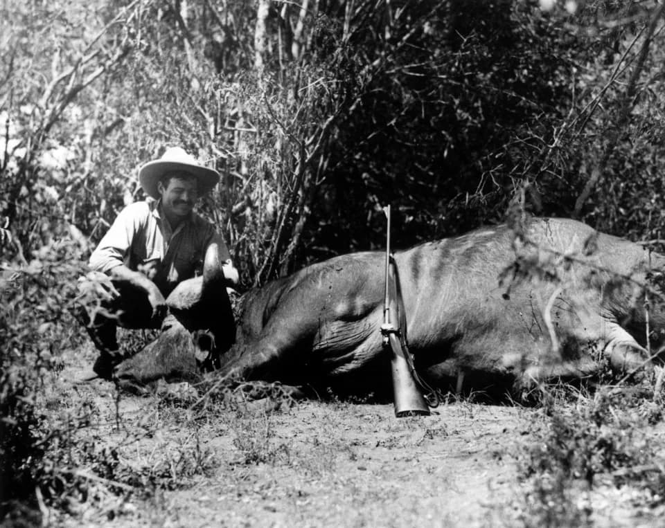 Ernest Hemingway - Photograph of Ernest Hemingway with his 1930 Griffin & Howe .30-06 sporterized Springfield M1903 on safari in Africa after making a kill