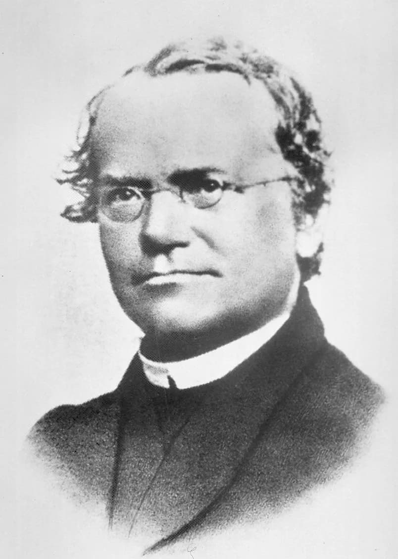 Gregor Mendel - Austrian biologist Gregor Mendel, "father of genetics".