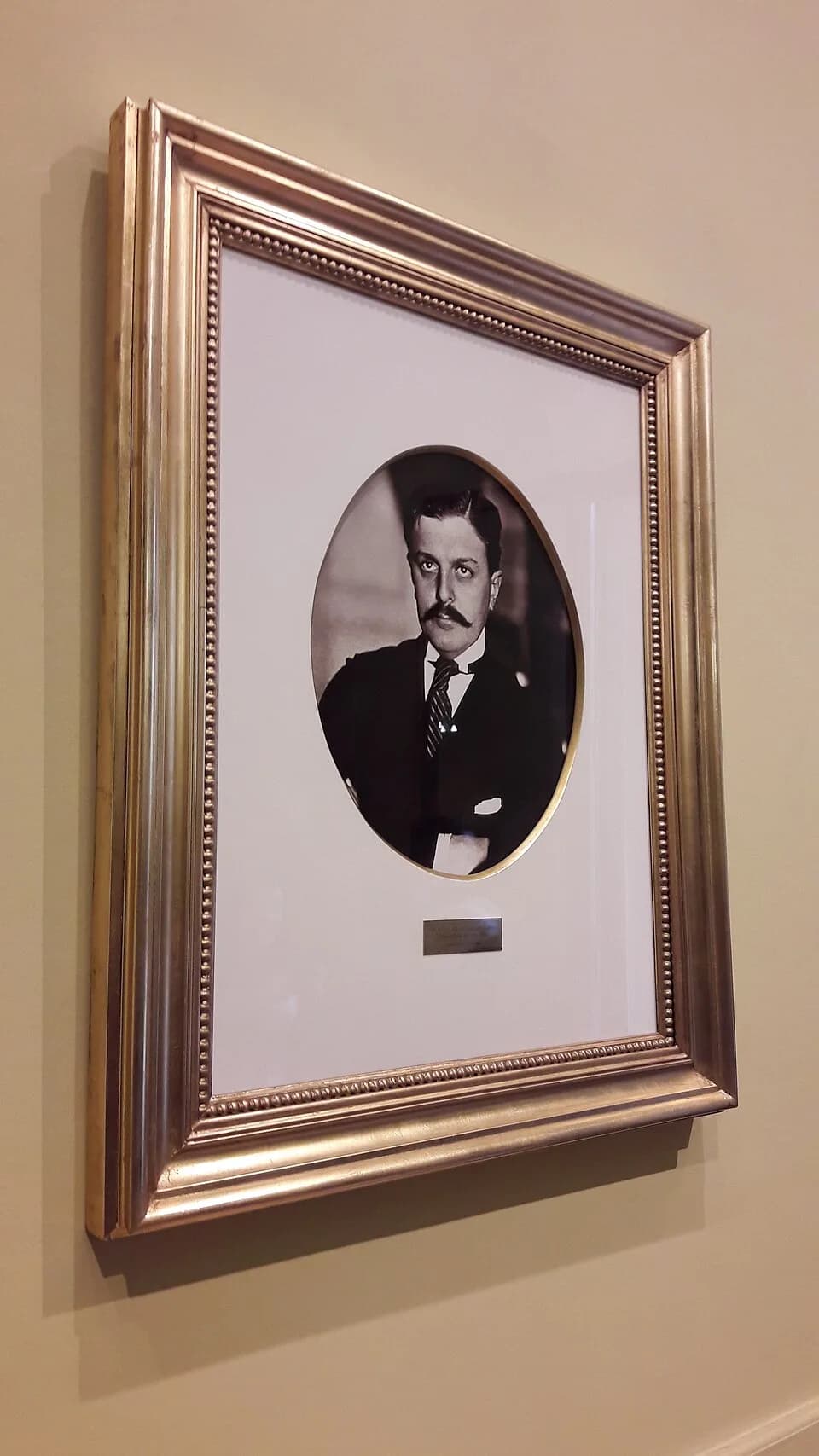Carlos Saavedra Lamas - Salón de los Científicos Argentinos, Casa Rosada