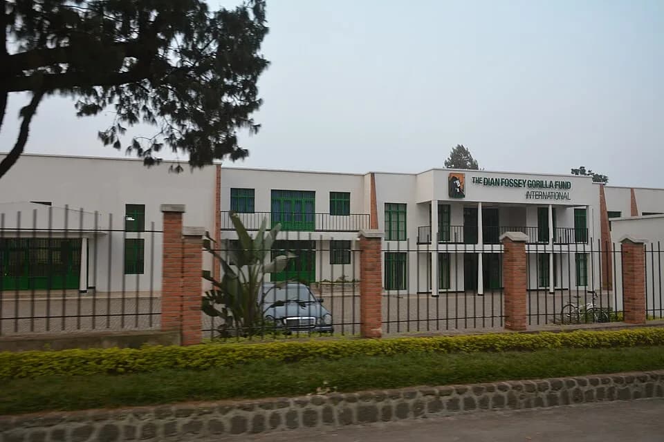 Dian Fossey - The Dian Fossey Gorilla Fund International (headquarters in Rwanda)