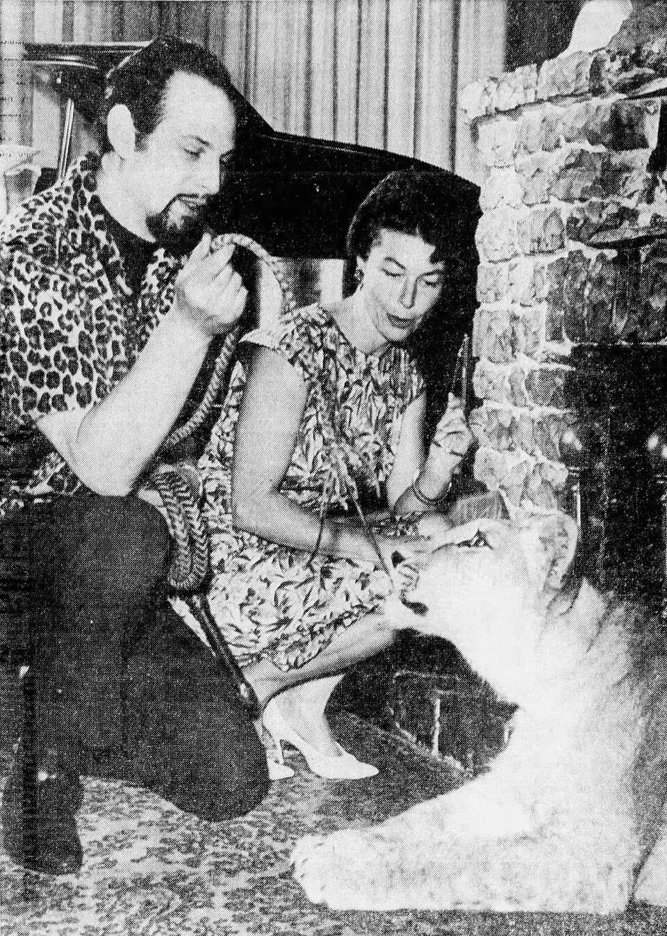 Anton LaVey - Anton LaVey shows J. Herbert Daley his pet lion, Togare, then a year old.