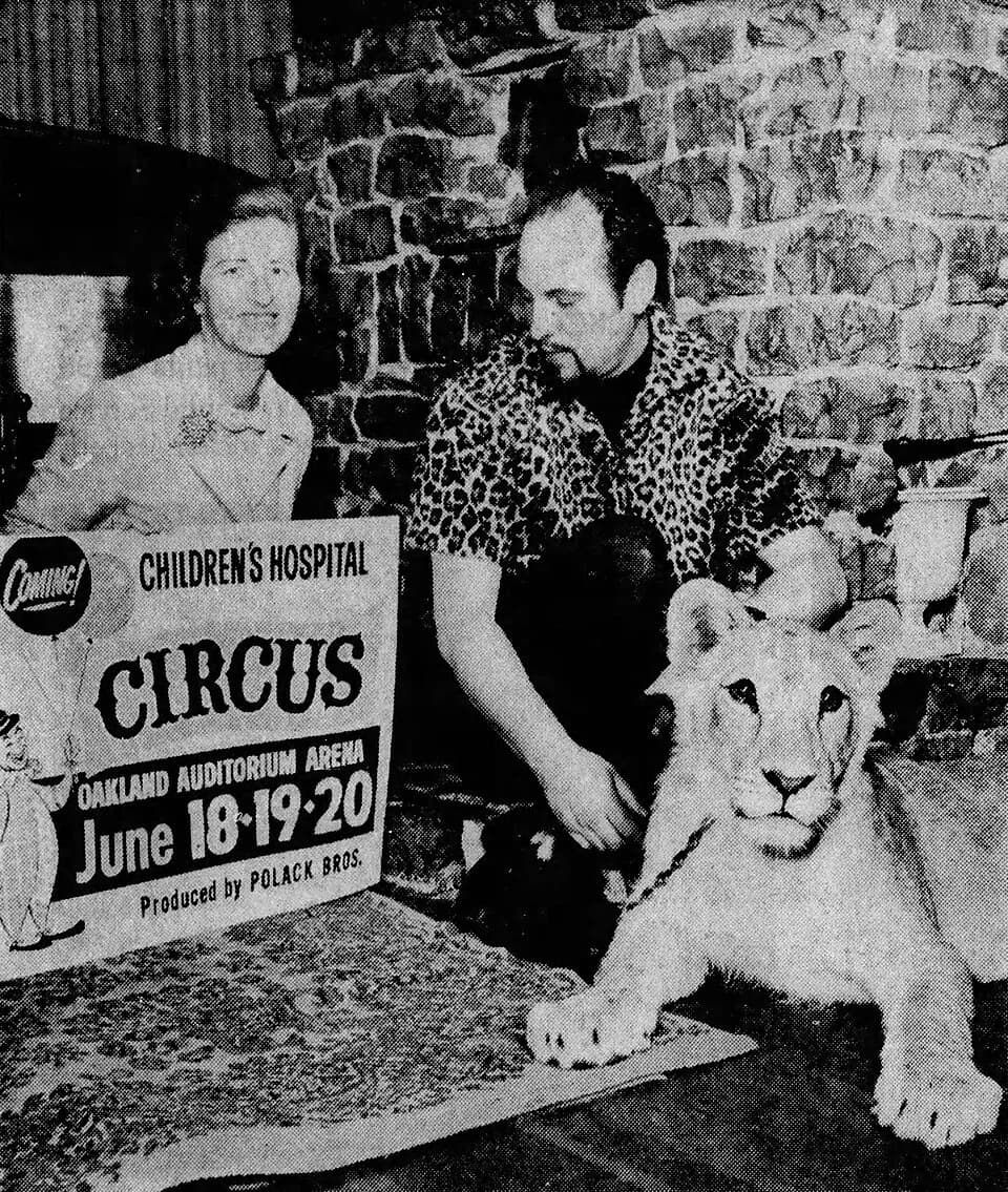 Anton LaVey - Anton LaVey shows Mrs. Arnold Intorf his pet lion, Togare, then a year old.