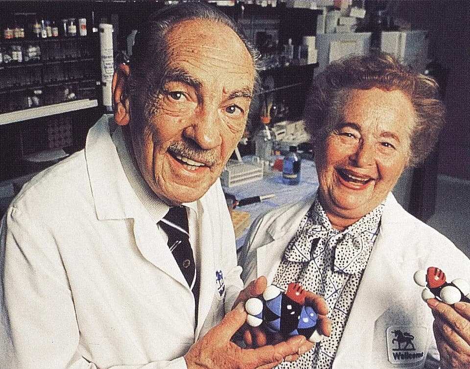 George H. Hitchings - Nobel Prize winners, Dr Hitchings and Dr Elion