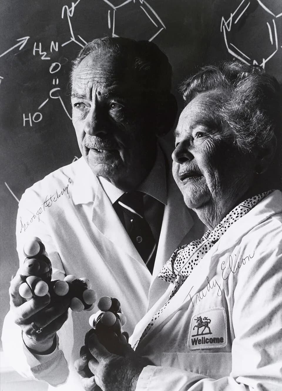 George H. Hitchings - Nobel Prize winners, Dr Hitchings and Dr Elion