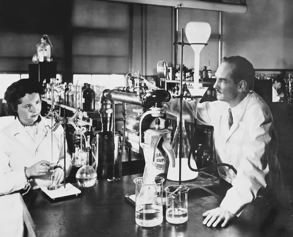 George H. Hitchings - Nobel Prize winners, Dr Hitchings and Dr Elion