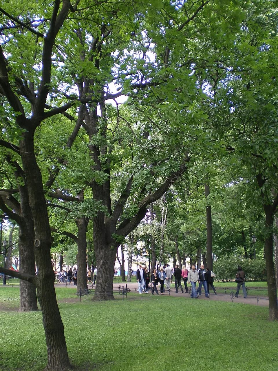 Alexander II of Russia - Oak planted by the emperor Alexander II July 10th, 1874