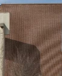 Claude Shannon - Moire pattern of bricks small.jpg