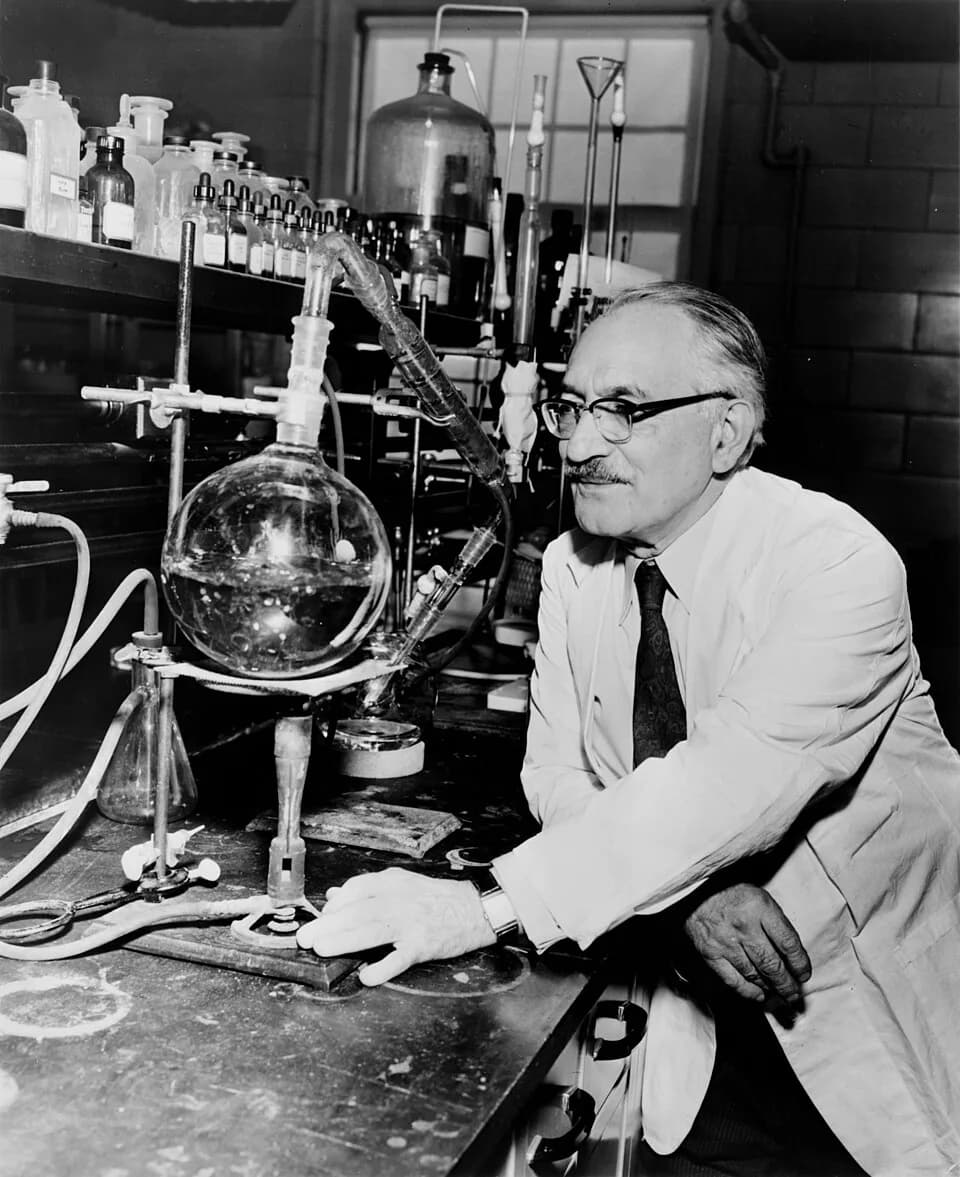 Selman Abraham Waksman - Dr. Selman Waksman, half-length portrait, facing left at work in the laboratory / World Telegram & Sun photo by Roger Higgins.
