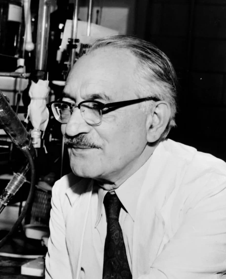 Selman Abraham Waksman - Dr. Selman Waksman, half-length portrait, facing left at work in the laboratory / World Telegram & Sun photo by Roger Higgins.