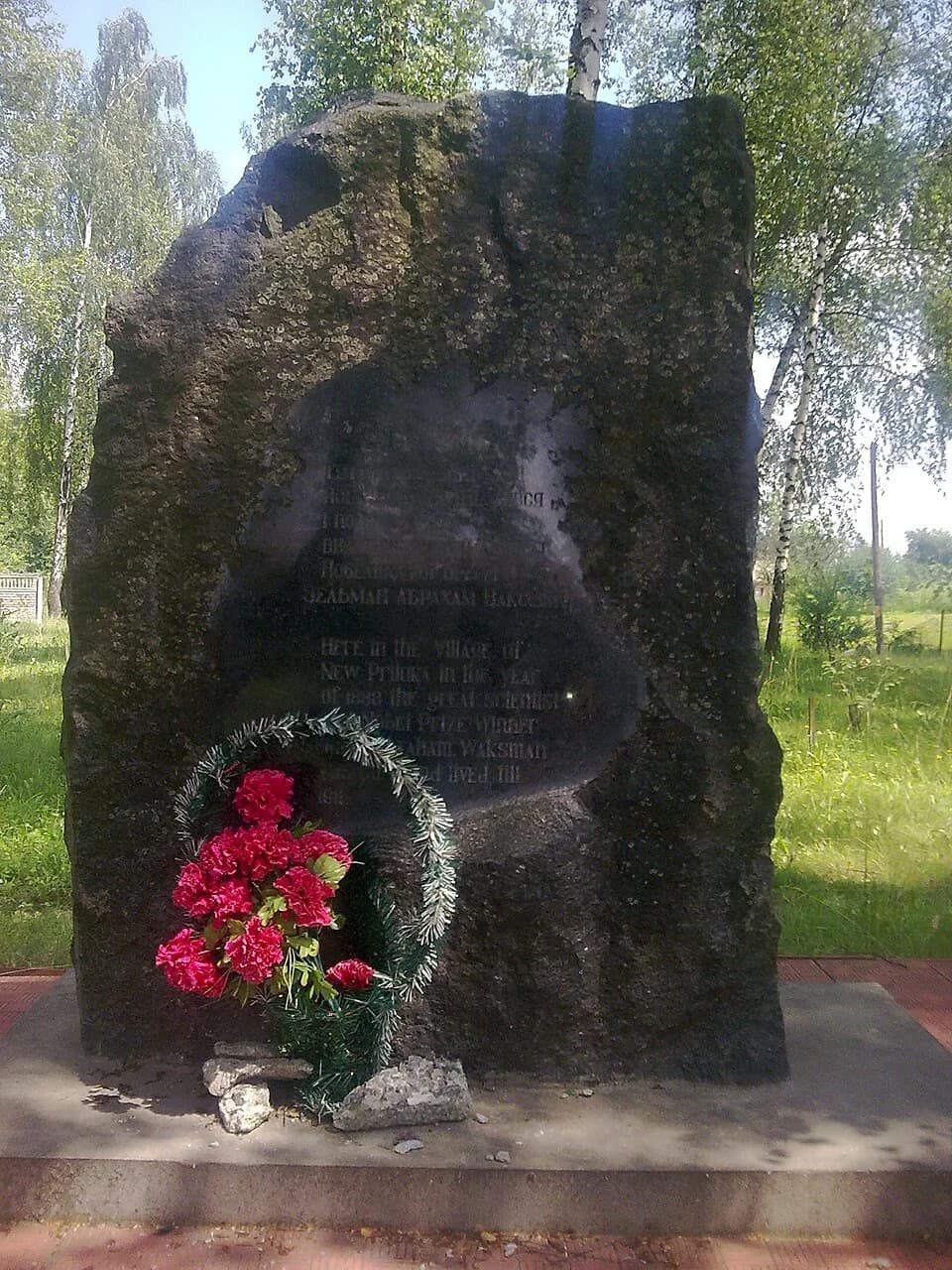 Selman Abraham Waksman - This file was uploaded with Commonist.
меморіал З.Ваксману в Новій Прилуці