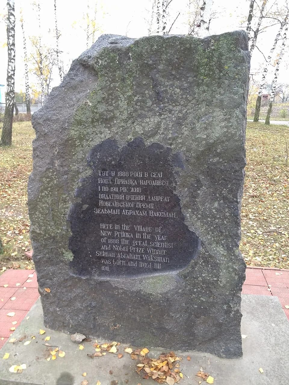 Selman Abraham Waksman - с. Нова Прилука. Пам'ятний знак про народження в селі Нобелівського лауреата Зельмана Ваксмана