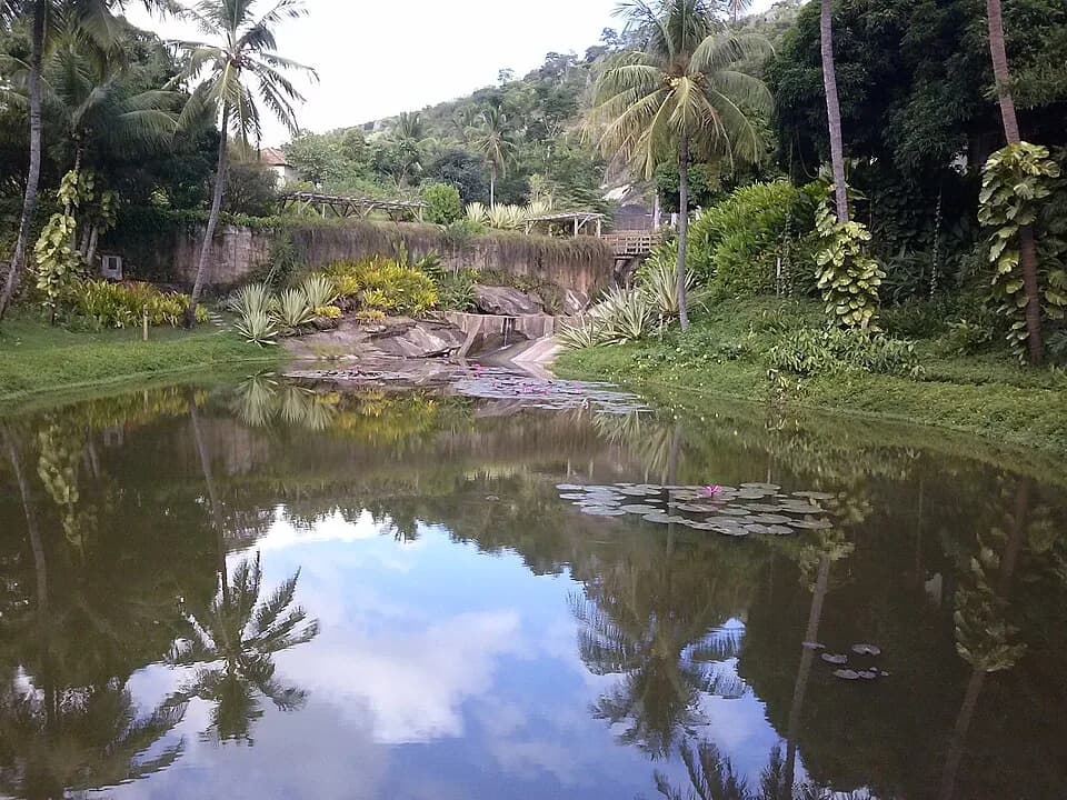 Sebastião Salgado - Visita ao instituto
Terra de Sebastião Salgado.
