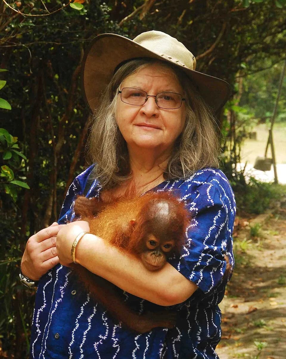 Birutė Galdikas - Simon Fraser University anthropologist, primatologist, conservationist, ethologist, professor Birute Galdikas, whose research and rescue of the world’s endangered orangutans spans 40