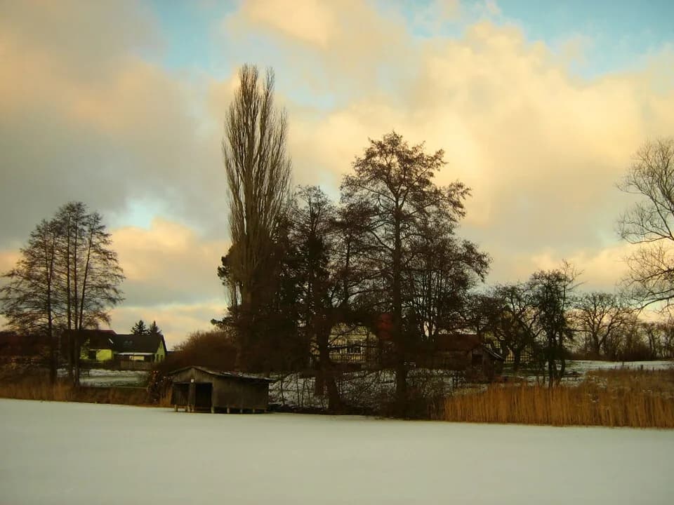 Hans Fallada - Blick vom zugefrorenen Carwitzer See auf das Anwesen Hans Falladas in Carwitz (Gemeinde Feldberger Seenlandschaft) in Mecklenburg