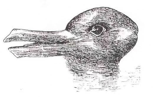 Thomas Kuhn - Duck-Rabbit illusion.jpg