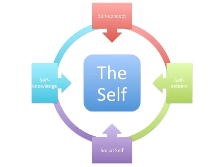 Carl Rogers - One's self perception is defined by their self-concept, self-knowledge, self-esteem and social self.