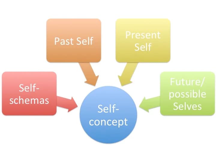 Carl Rogers - One's self-concept is made up of self-schemas, their past, present and future selves.