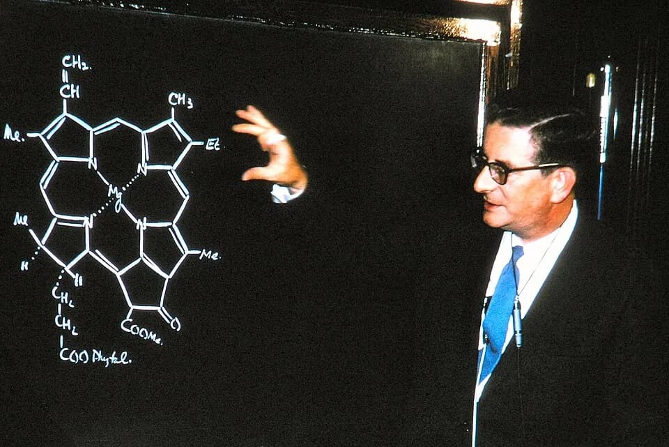 Robert Burns Woodward - de:Robert B. Woodward Harvard University, Cambridge (Mass.), 1965